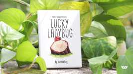 Lucky Ladybug (Gimmicks and Online Instructions) by by Joshua Ray &amp; Deuce Gala M - £15.83 GBP