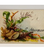 Antique Victorian c1890s Nautical Sea Shell Business Card 3.25 x 1.75 - €31,30 EUR