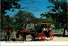 Nassau Bahamas Colorful Horse and Carriage Horse Drinking Vintage Postcard - £7.53 GBP