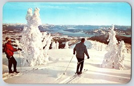 Postcard Top Ski Slope Schweitzer Basin Snow Covered Tree Idaho ID - £4.65 GBP