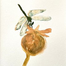 Dragonfly On Poppy Pod - Original Art Handmade Painting White Mat Frame Ready - £39.16 GBP