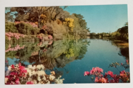 Orton Plantation Lagoon Scenic Wilmington North Carolina NC UNP Postcard c1960s - £3.11 GBP