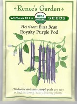 GARTOP Bean Royal Purple Pod Organic Heirloom Vegetable Seeds - Renee&#39;S ... - $5.00