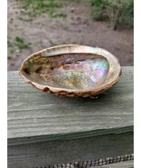 MCM Abalone Shell Bowl Lucite Footed Large- VINTAGE - $183.20 MXN