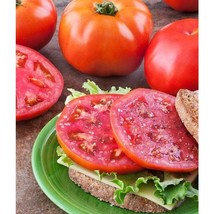 Amelia Tomato  10 Seeds  Garden Beautiful USA SELLER - £4.41 GBP