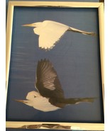 Birds in flight photo print 14” x 11”  - £39.83 GBP