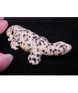 (Y-LIZ-UR-700) Love SPOTTED UROMASTYX gem LIZARD carving FIGURINE gemstone - $24.05 CAD