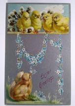 Easter Postcard Baby Chicks Tucks 701 Forget Me Not Flowers Embossed Vintage - £9.65 GBP