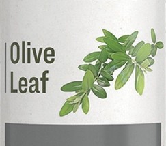 OLIVE LEAF - Natural Cardiovascular & Immune System Support Extract Tincture USA - $24.97+