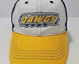 Roanoke Virginia Rail Yard Dawgs Hat Hockey Adjustable Nwot Minor League - €12,66 EUR