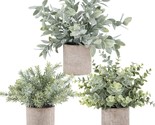 Der Rose 3 Pack Mini Potted Fake Plants Artificial Plastic Eucalyptus Pl... - $38.97