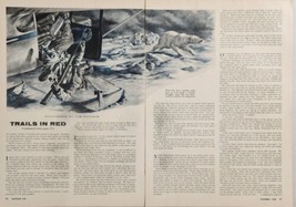 1956 Magazine Picture Hunter Falls from Airplane Polar Bear by Tom Beecham - £14.10 GBP