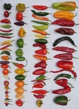 Organic Peppers 1D - £5.24 GBP