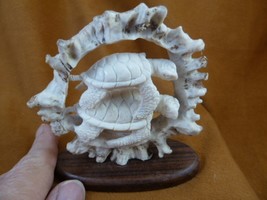 (TURT-SEA-W95) group two Sea Turtle turtles shed ANTLER figurine Bali detailed - $220.65