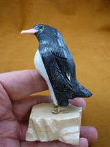 (Y-PEN-361) X Large Black Onyx PENGUIN snow bird gemstone FIGURINE stone... - £29.81 GBP