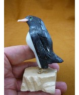 (Y-PEN-361) X Large Black Onyx PENGUIN snow bird gemstone FIGURINE stone... - €31,80 EUR