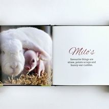 Teacup Pigs by Richard Austin Adorable Pet Pictures Small Hardcover Gift Book image 6