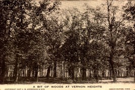 Vintage POSTCARD- A Bit Of Woods At Vernon Heights, Cedar R API Ds, Iowa BK61 - £4.35 GBP