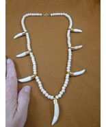 G170-152) seven Gold capped 1-3/4&quot; Alligator T**th white ache bead necklace - $1,821.60 MXN