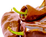 35 Chocolate Poblano Sweet Pepper Seeds Mulato Isleño Heirloom Chile Ancho - $8.99