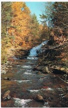 Ontario Postcard River Waterfall Autumn Leaves - £2.31 GBP