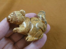 (Y-SQU-726) little tan jasper SQUIRREL gemstone carving figurine love sq... - $17.53