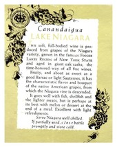 Cananduiga Lago Niagara Vino Bottiglia Etichetta - $35.43