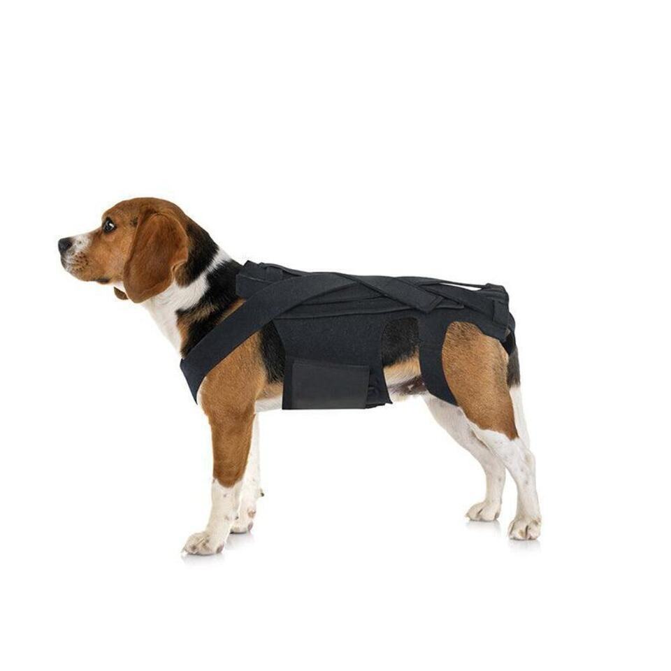 Ultimate Supportive Back Brace For Dogs: Ivdd, Arthritis, And Back Pain Relief - $37.57 - $39.55