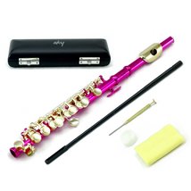 Sky(Paititi) Band Approved Velvet Pink Laquer with Gold Keys Piccolo Key of C wi - £95.91 GBP