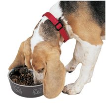 MPP Stainless Steel Dog Bowl Non Skid Bottom Durable Dish Cute Fun Print... - $14.15+