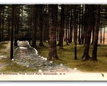 Pine Island Park Promenade Manchester New Hampshire NH UNP DB Postcard T3 - $4.42