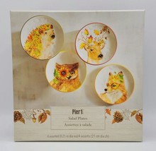 4 Pier 1 Harvest Garden Critters 8.25&quot; Dolomite Salad Plates w/ Original Box  - £47.76 GBP