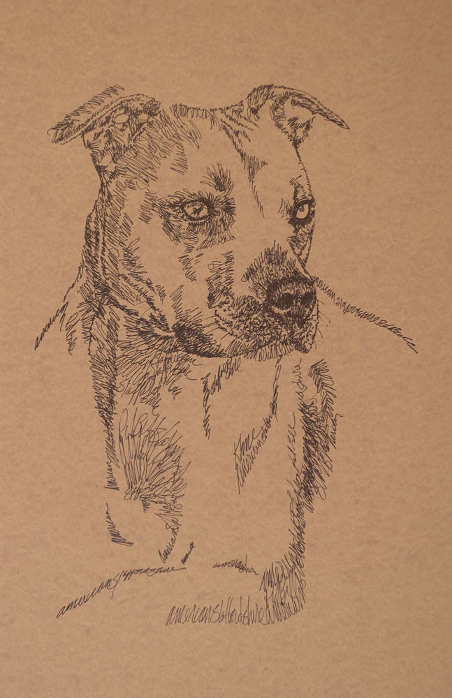 AMERICAN PIT BULL TERRIER ART PORTRAIT PRINT 47 Kline adds your dog name free.