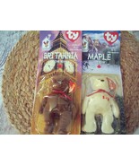 ty  BEANIE BABY MAPLE, BRITANNIA THE BEAR NEW IN BOX - £37.95 GBP