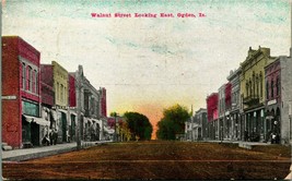 Walnut Street Looking East Ogden Iowa IA  1909 DB Postcard D11 - £10.07 GBP