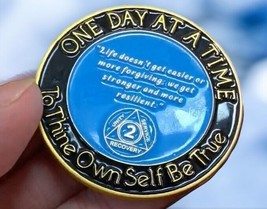 Sobriety Coin, Two Years Sober Chip, AA Medallion 2 Year, Alcoholics Ano... - $16.95