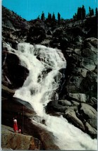 Tokopah Falls Giant Forest Sequoia Natl Park California Postcard Posted 1963 - £7.87 GBP
