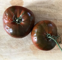 Paul Robeson Tomato Organic Heirloom 20 Seeds USA Seller Garden Fresh - £6.21 GBP