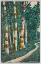 Birch Trees Along The Dirt Path Hand Painted  Postcard W21 - £7.90 GBP