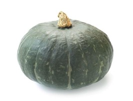 10 SEEDS KABOCHA CHESTNUT SQUASH PUMPKIN QUICK PLANT FAST GROW SEEDS - £6.38 GBP