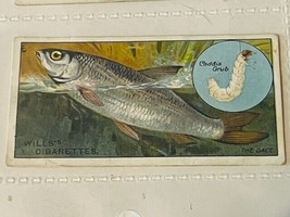 WD HO Wills Cigarettes Tobacco Trading Card 1910 Fish Bait Lure Dace #21... - $19.69