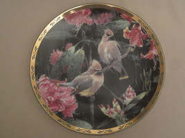 CEDAR WAXWING collector plate SPRING RAIN Alan Sakhavarz BIRD Songbird - £18.89 GBP
