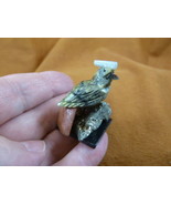(Y-BIR-CA-458) Cardinal green red bird gemstone STONE carving Peru cardi... - $12.19