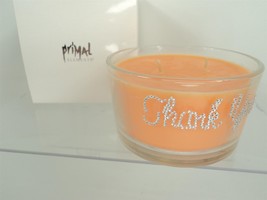 Primal Elements 9.5 oz Scented 2-Wick Candle - Wish Candle - Thank You - £11.33 GBP