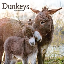 Donkeys Calendar 2024 | Square Animal Wall Calendar - 16 Month: Original... - $20.00