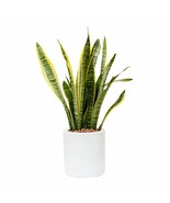 Catleza Smart Self-Watering Planter Pot for Indoor and Outdoor 7.8&quot; Whit... - $32.62