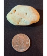 Hawaiian Beach Coral Stone Rock Natural Ocean Fossil Souvenir Unique Col... - $9.99