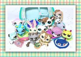 Authentic Littlest Pet Shop Vacation COLLECTION Collie Dog Tabby Cat #2210 #2215 - £201.91 GBP