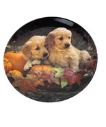 Bradford Exchange Two&#39;s Company Golden Harvest Collectible Plate - $278.12 MXN