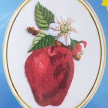 Janlynn Apple Embroidery Kit NEW Fruit Cottagecore Designs For The Needl... - $12.86